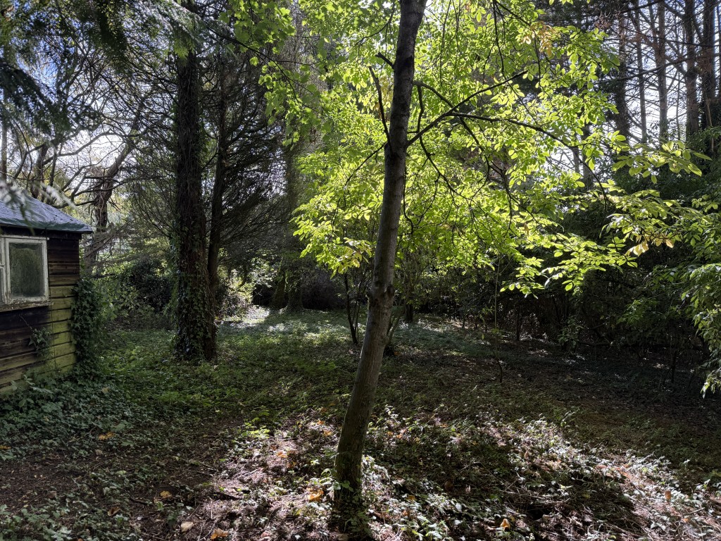 Lot: 47 - APPROXIMATELY HALF AN ACRE OF LAND WITH VACANT POSSESSION - Mature trees and storage shed